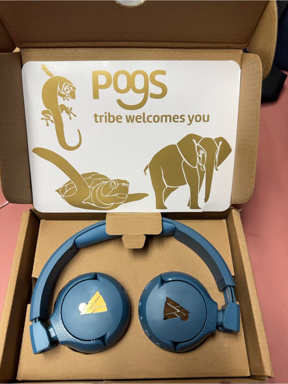 Kids Pogs Blue On-Ear Headphones -